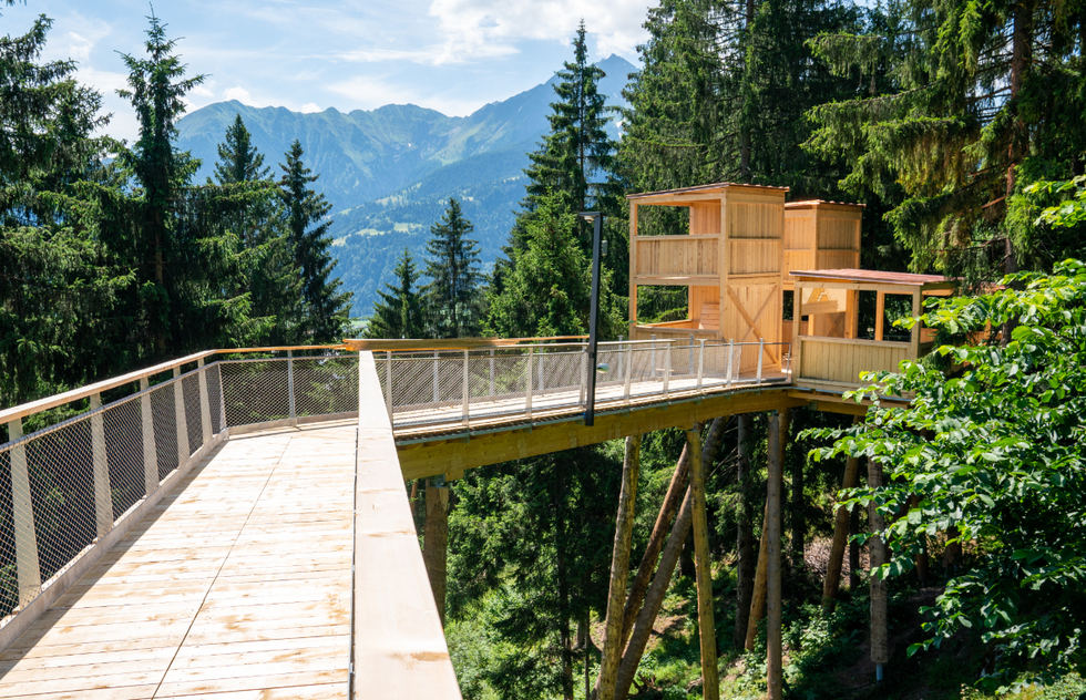 World’s Longest Treetop Walkway Shows Off Uplifting Views of Swiss Alps | Frommer's