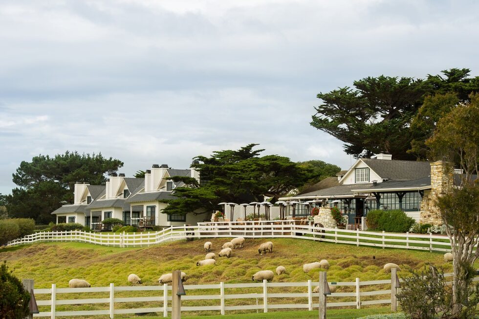 Hotels owned by famous people: Clint Eastwood: Mission Ranch Hotel and Restaurant, Carmel-By-The-Sea, California