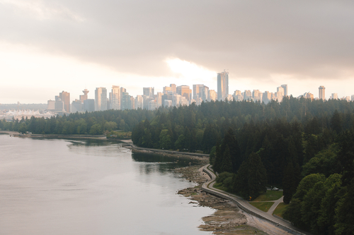 Vancouver's Stanley Park Now Closes Early Due to Coyote Attacks | Frommer's