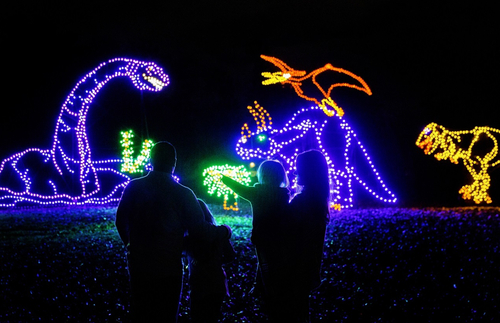 Holiday Dazzle: The USA’s Most Spectacular Winter Light Displays