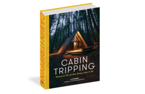 Cover of "Cabin Tripping" by JJ Eggers
