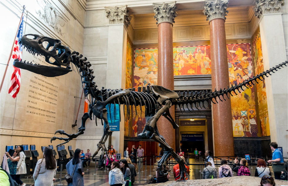 The Best Family Experiences in New York City | Frommer's