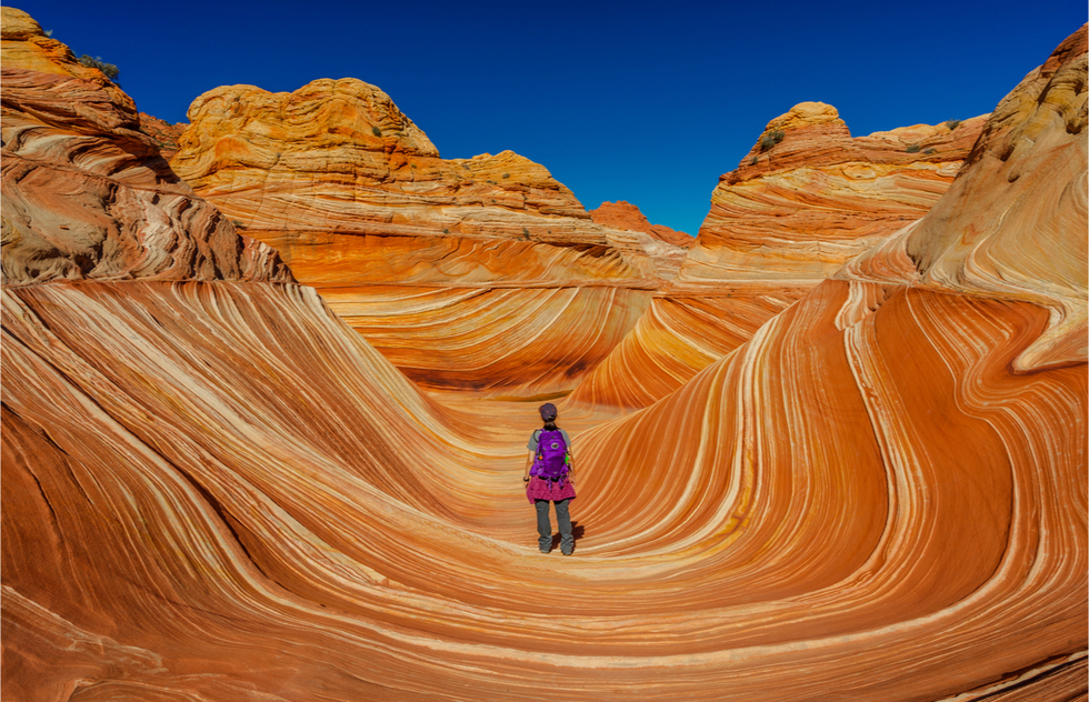 Vacation ideas for families in the American Southwest: The Wave, Arizona-Utah border
