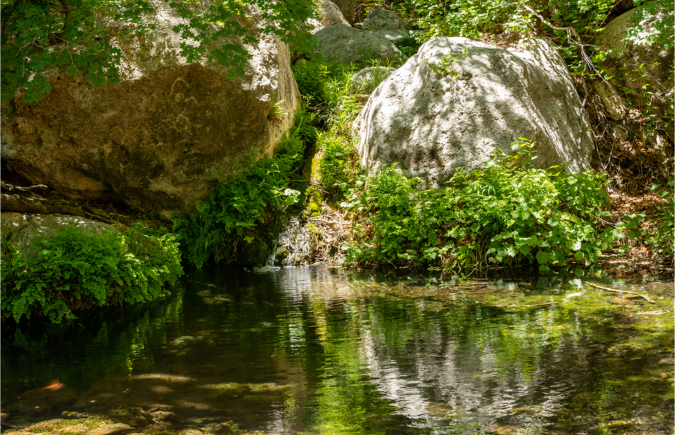 Great National Parks for Spring Vacations: Smith Spring in Guadalupe Mountains National Park in Texas. 