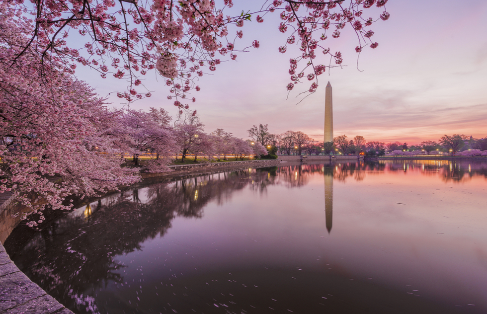 Walking Tours in Washington, D.C. | Frommer's