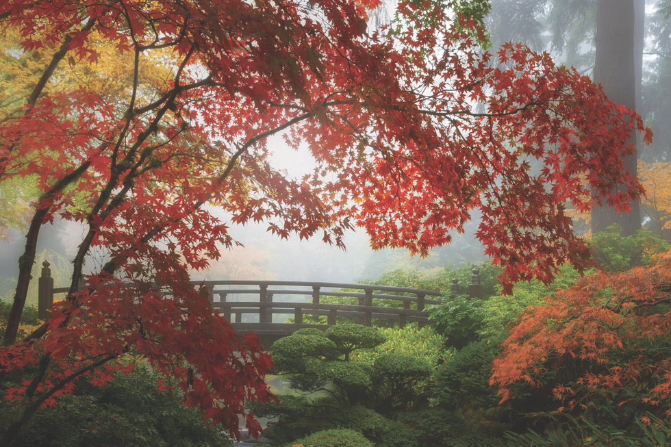 Portland Japanese Garden in Oregon