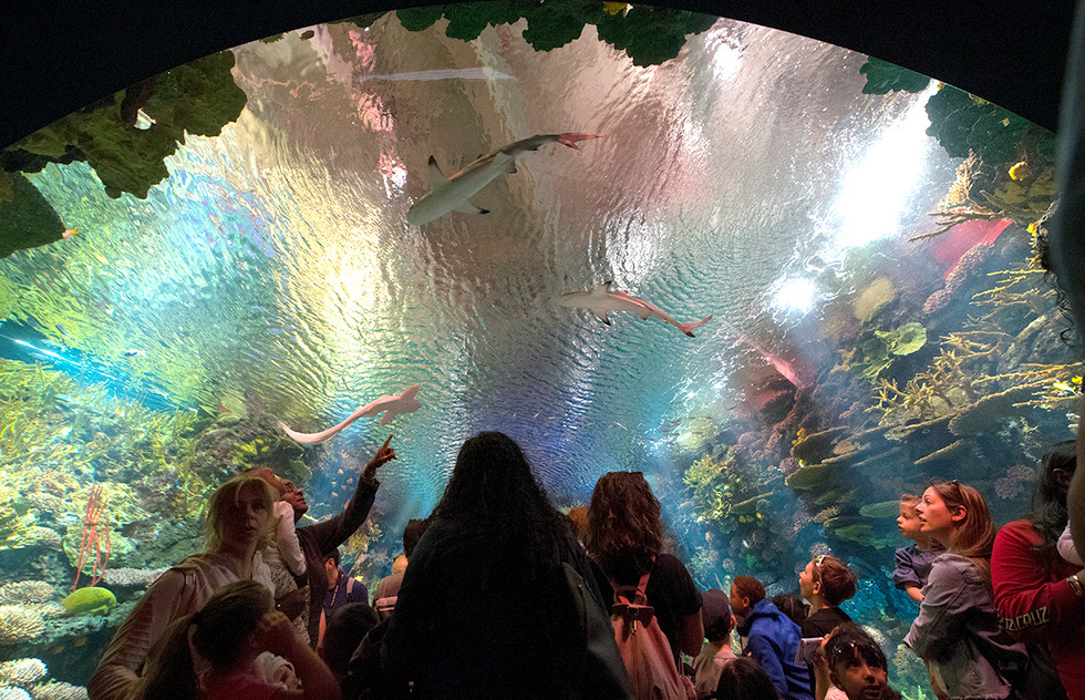 New York Aquarium | Frommer's