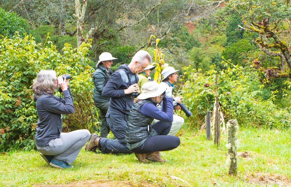The Best Bird-Watching in Costa Rica | Frommer's
