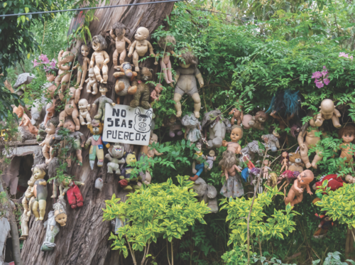 Mexico City’s Island of the Dolls Is the Creepiest Place on Earth