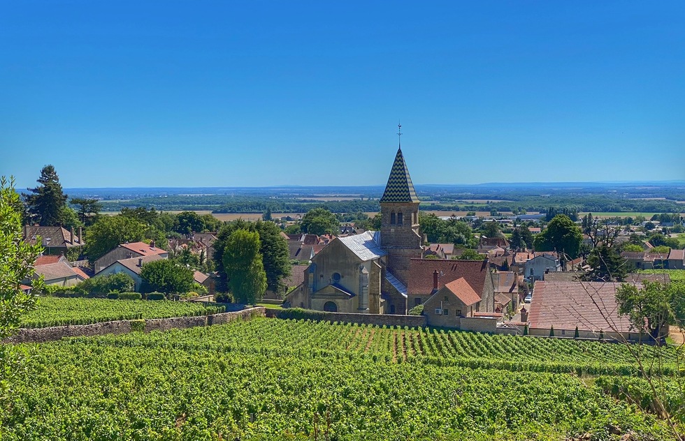 How to tour wineries of the Route des Grands Crus around Dijon, France: A view from the Domain Joliet winery
