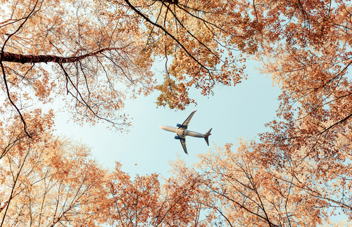 Airplane Autumn
