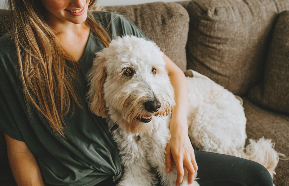 How to Find a Pet Sitter: Where to Look, What to Ask, When to Book | Frommer's