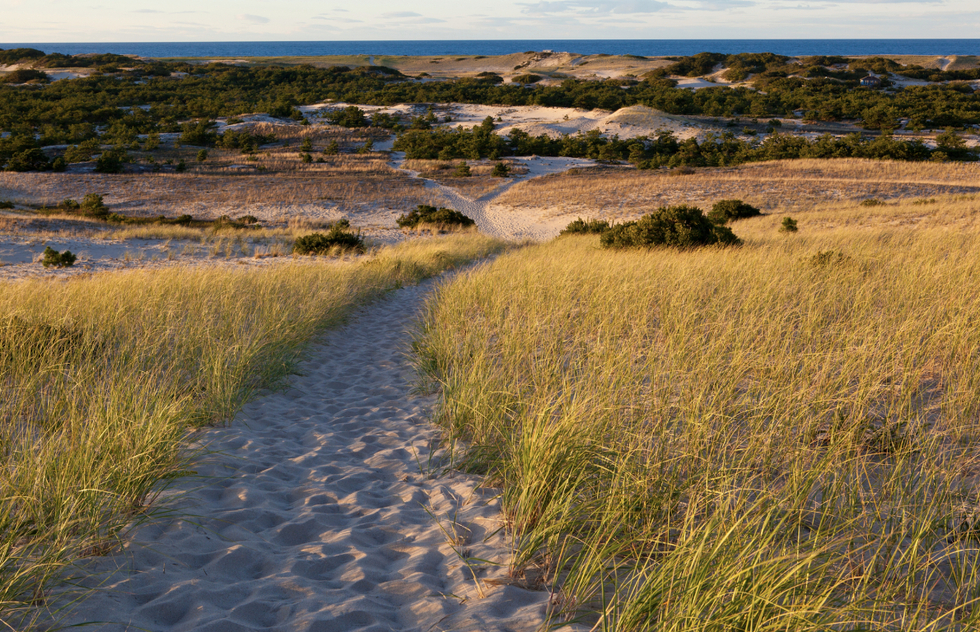 Provincetown Day Trip: Cape Cod National Seashore dunes