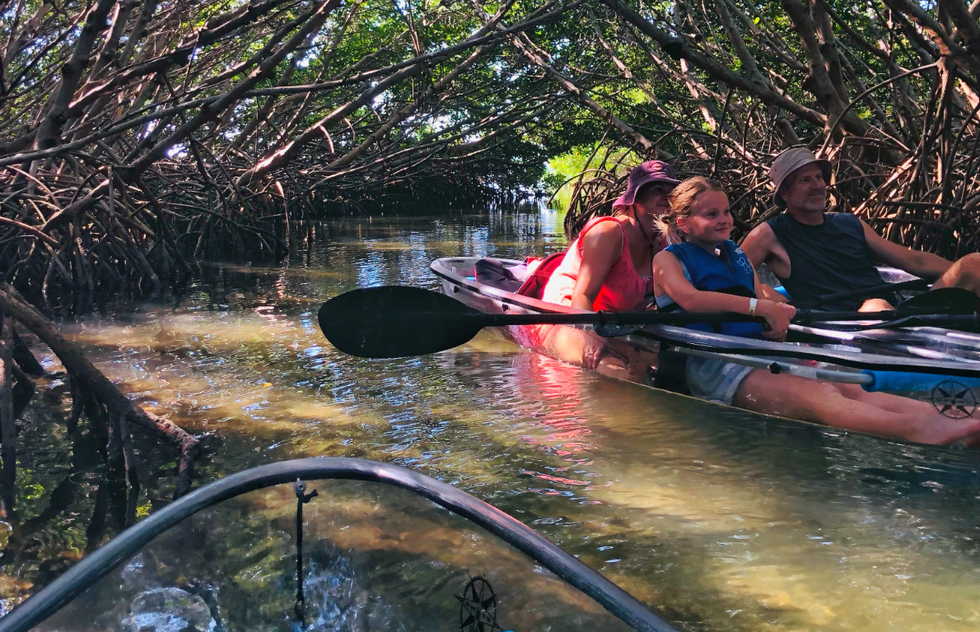Things to Do in St. Pete, FL: Clear kayaking at Shell Key Preserve