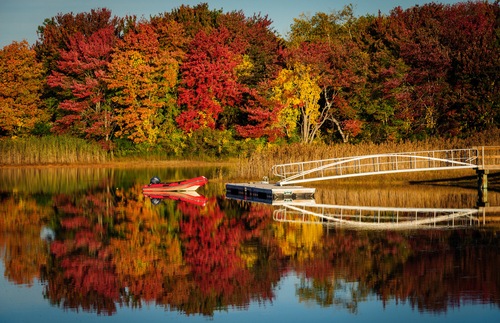 What Will Fall Foliage Be Like in 2022? Predictions from an Expert | Frommer's