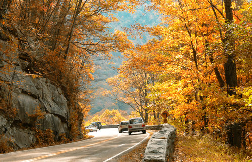 This Interactive Map Predicts When Fall Foliage Will Peak Across the U.S. | Frommer's