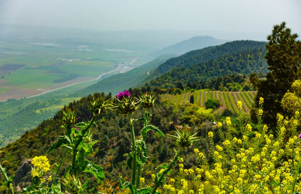 Things to Do in Galilee | Frommer's