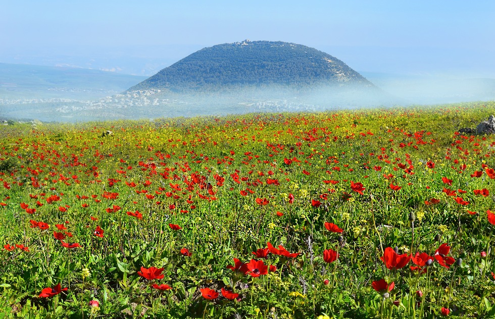 Things to See in Nazareth and the Yizreel Valley | Frommer's