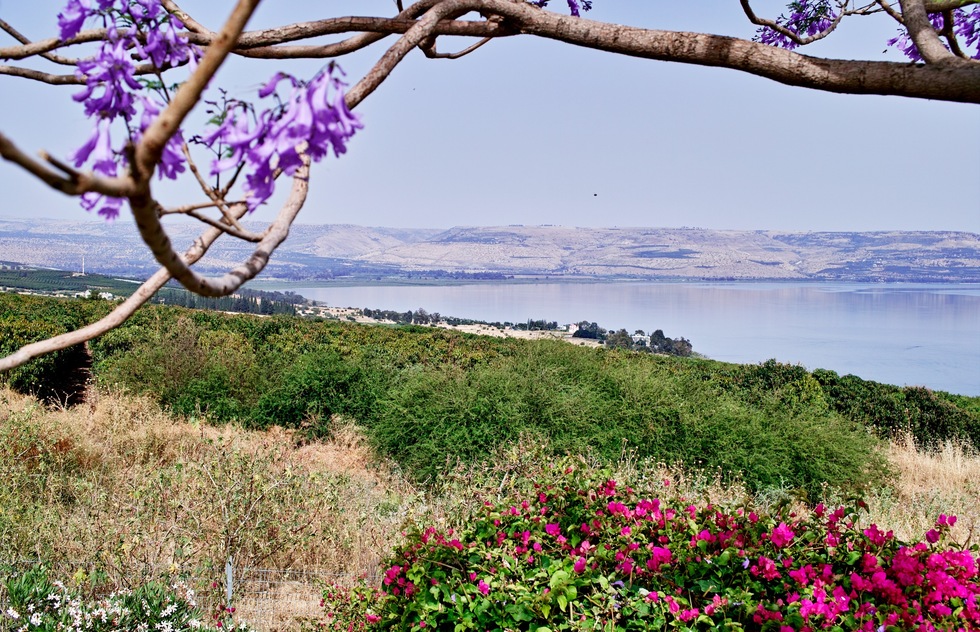 Things to Do in Sea of Galilee | Frommer's