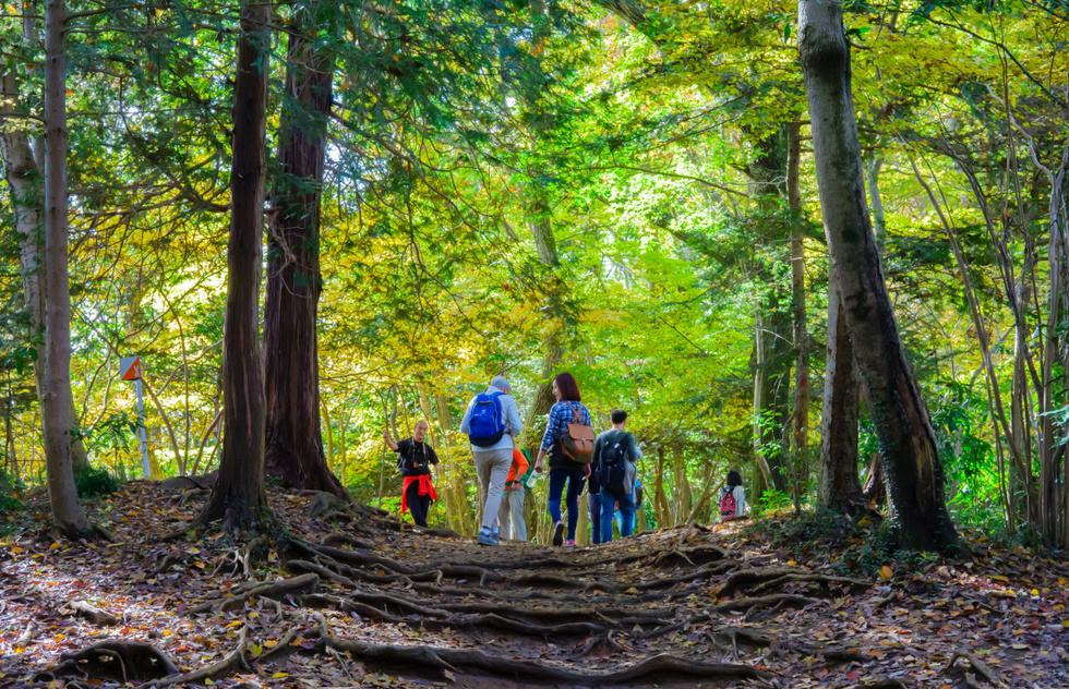 Favorite Japan experiences: hiking Mount Takao
