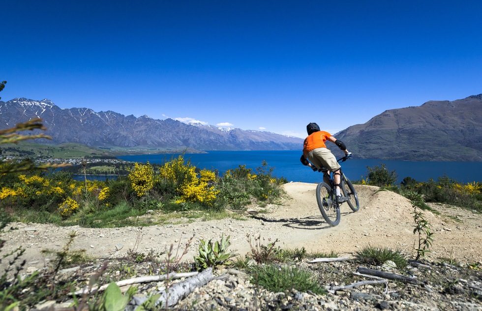 Best Cycle Trails in New Zealand | Frommer's