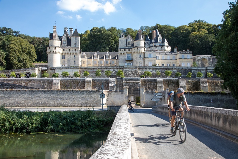 A cyclist stares at a chateau in the Loire Valley