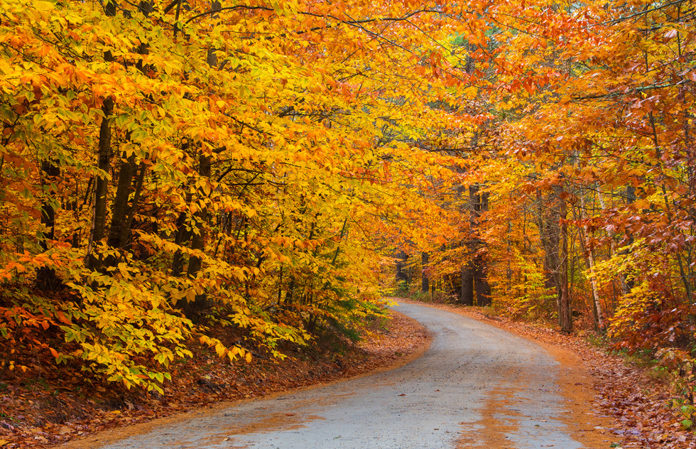 Fall Foliage in New England: What to Expect in 2023 | Frommer's