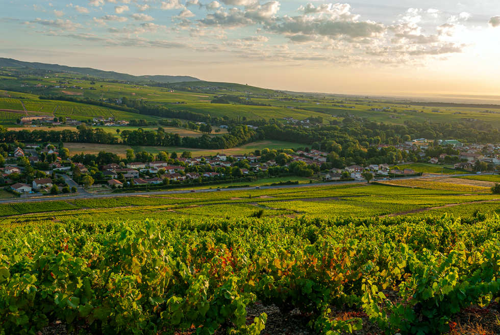 Things to Do in Beaujolais Country | Frommer's
