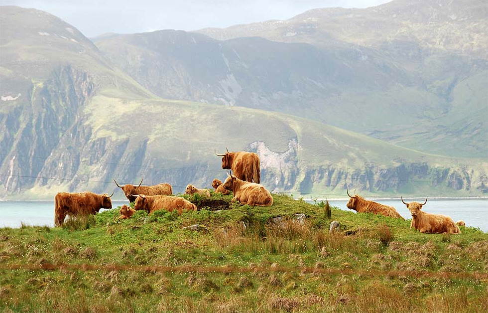 Frommer's Best Places to Go on Vacation in 2024: The Scottish Islands