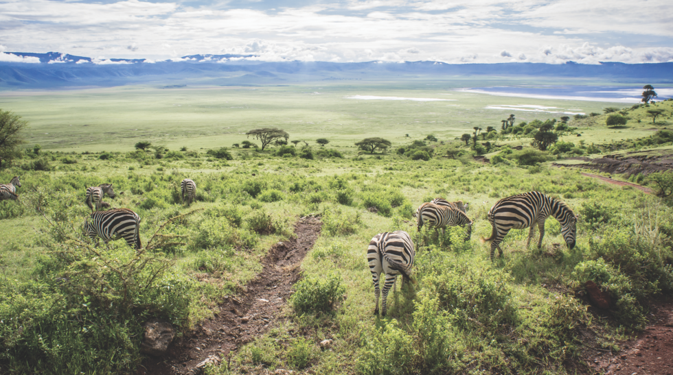 Places at risk from overtourism: Ngorongoro Crater in Tanzania