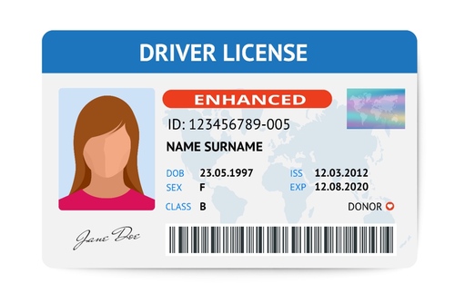 Can I Cruise with Just a Driver's License? | Frommer's