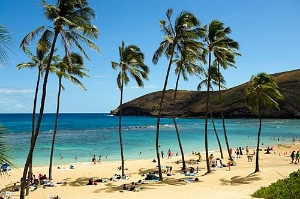 The protected beach of Hanauma Bay offers unparalleledsnorkeling and scuba diving with spectacular marine life and coral.