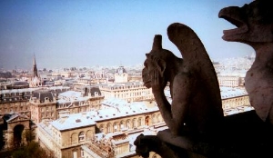 A view from the Cathedral of Notre Dame