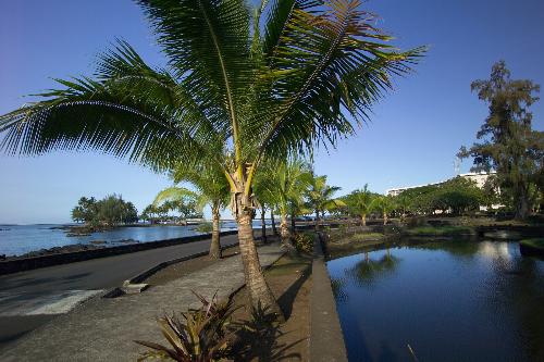 Coconut Island, Hilo.