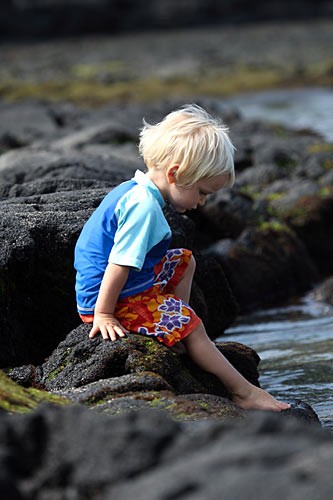 Kids love the calm waters, tranquil lagoons, turquoise pools at Kahaluu Beach Park.
