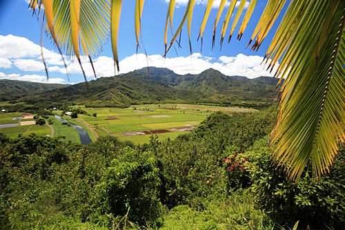 Hanalei Valley Lookout, Kauai, Maui