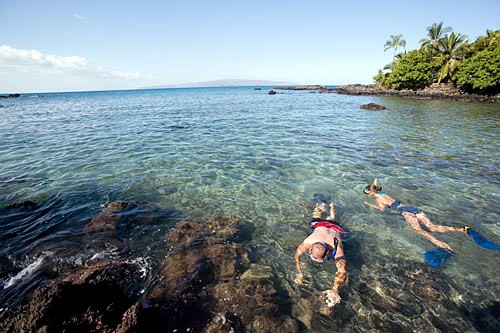 Snorkeling off Maui.