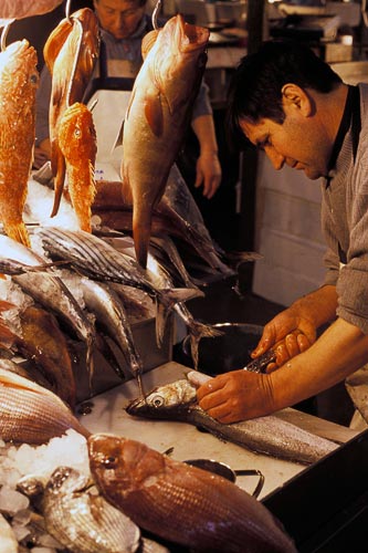 A fish stand at central market, Athens