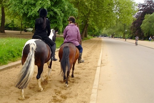 Riders on Rotten Rown in London's Hyde Park.