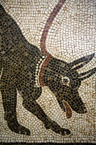 A famous dog mosaic from Pompeii is preserved in Naples's Museo Archeologico Nazionale.