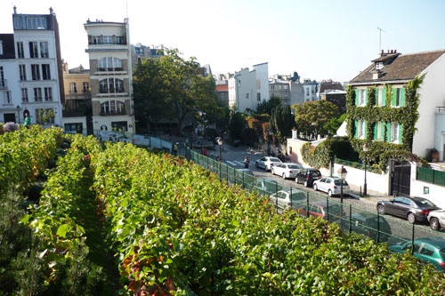 View of the Clos Montmartre, Paris.
