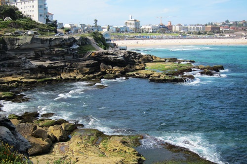 Cliff walk between Bondi Beach and Bronte Beach, Sydney.