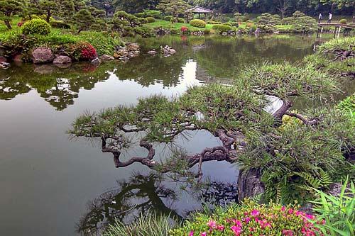 Kiyosumi Gardens in Tokyo.