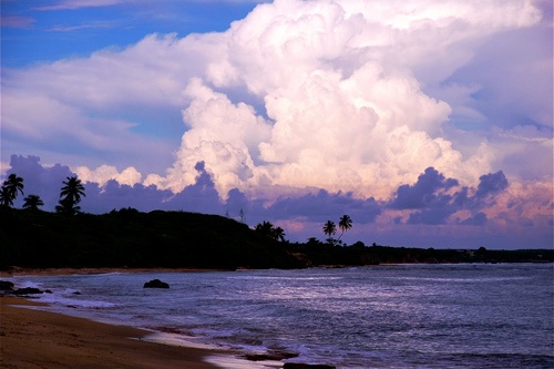 Vieques Island, Puerto Rico.