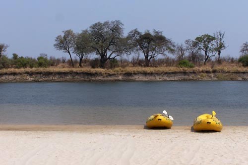 Zambezi River safari.