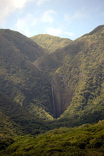 The majestic Halawa Falls cascade 250 feet down into the remote valley, which can only be reached by guided tour.