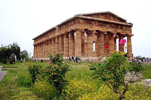 One of the three temples of Paestum.