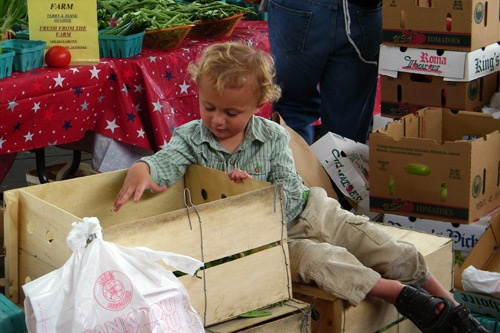 A boy assists at a farm stand at the Chattanooga Market.