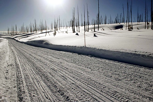 A snowmobile trail leads from Yellowstone National Park's South Gate and runs along the top of the Lewis River Canyon. Courtesy Jason Williams/<a href="http://www.jasonwilliamsphoto.com" target="_blank">www.jasonwilliamsphoto.com</a>
