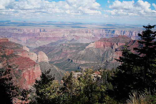 A view from the North Rim of the Grand Canyon National Park